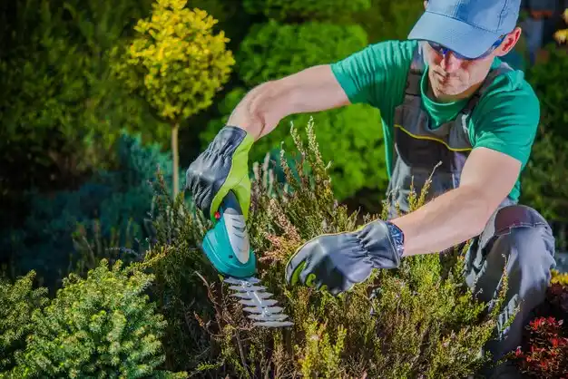 landscaping services West Carrollton